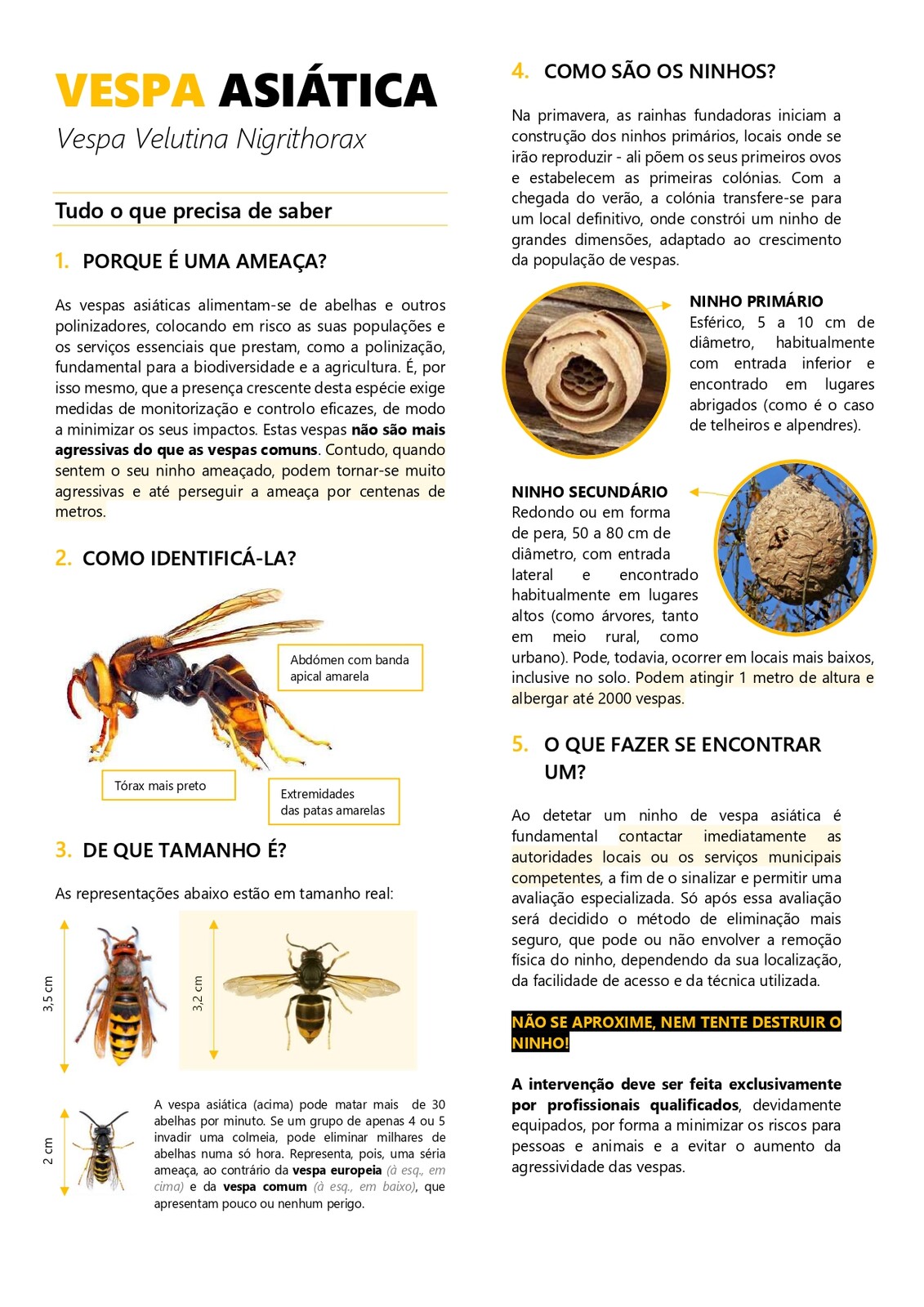 VESPA ASI&Aacute;TICA_page-0001