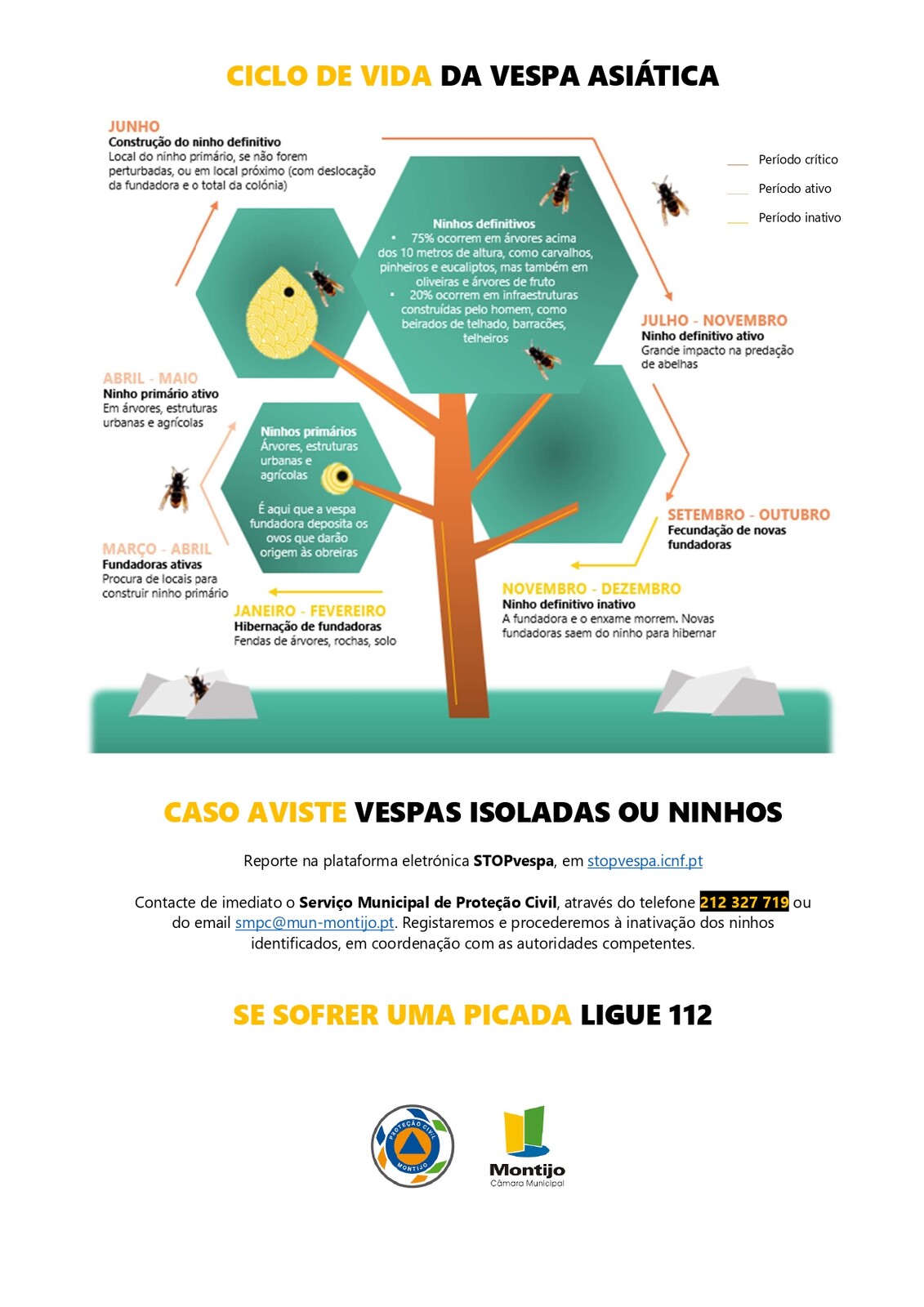 VESPA ASI&Aacute;TICA_page-0002