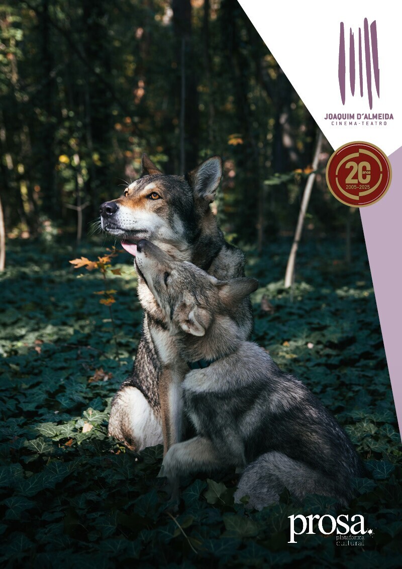 banner 600x849px_pedro o lobo_11 out 2025