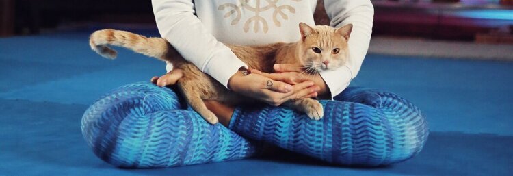 banner_site___gato_oficina_criativa_1_1190_565_1_750_2500