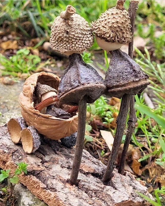 casal_bebe_550_1_2500_2500