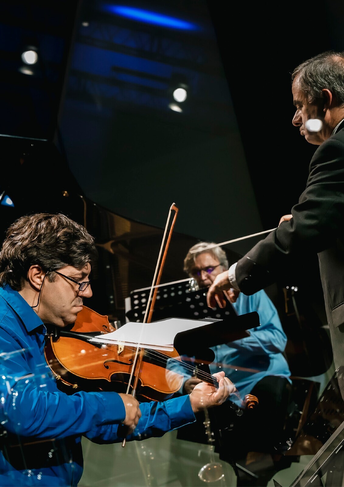 CMM-peixinhoparatodos1