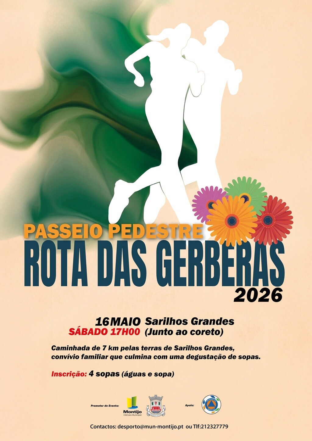 Cartaz Rota Gerberas