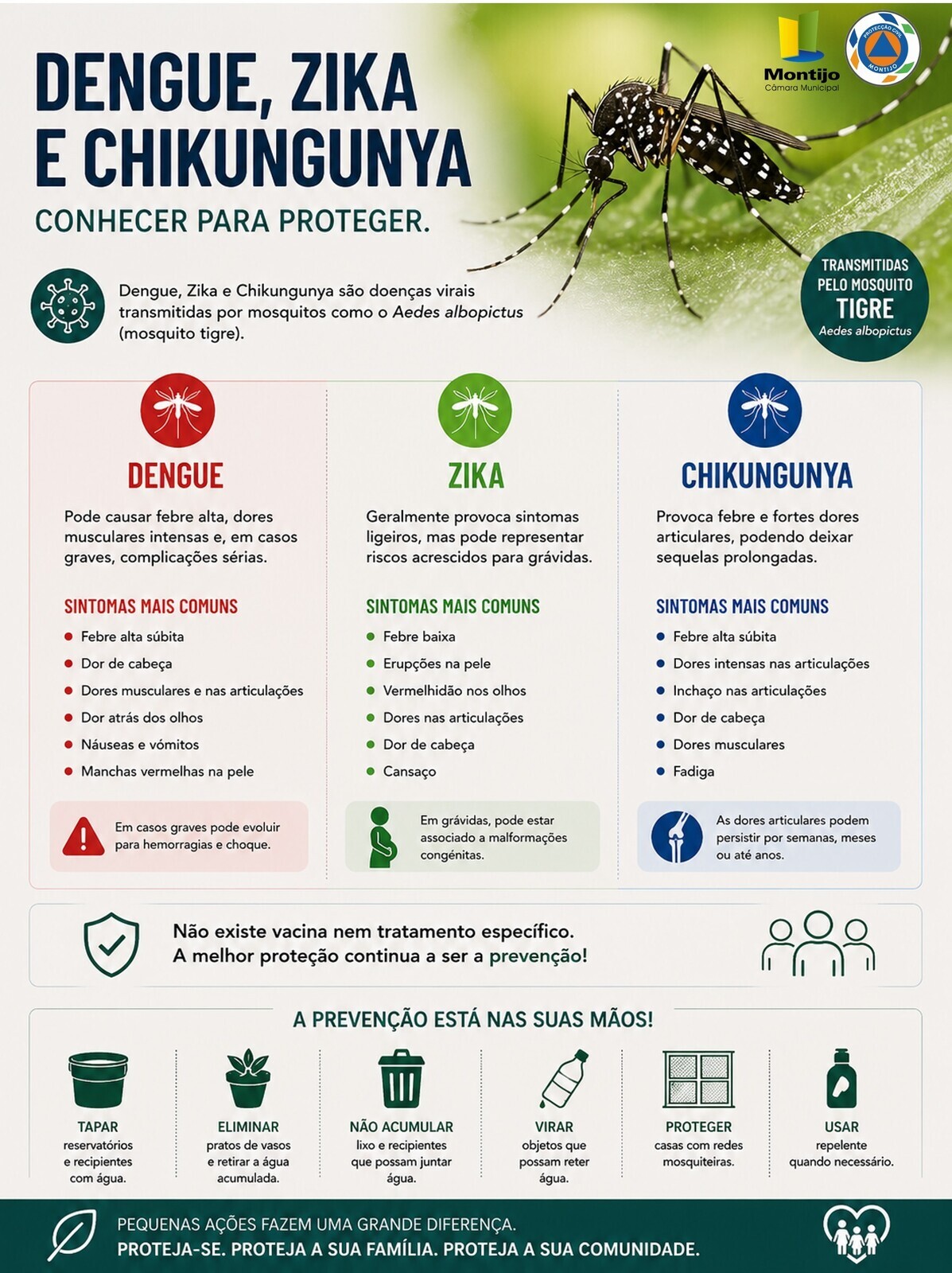 Diferenças entre Dengue-Zika-Chikungunya