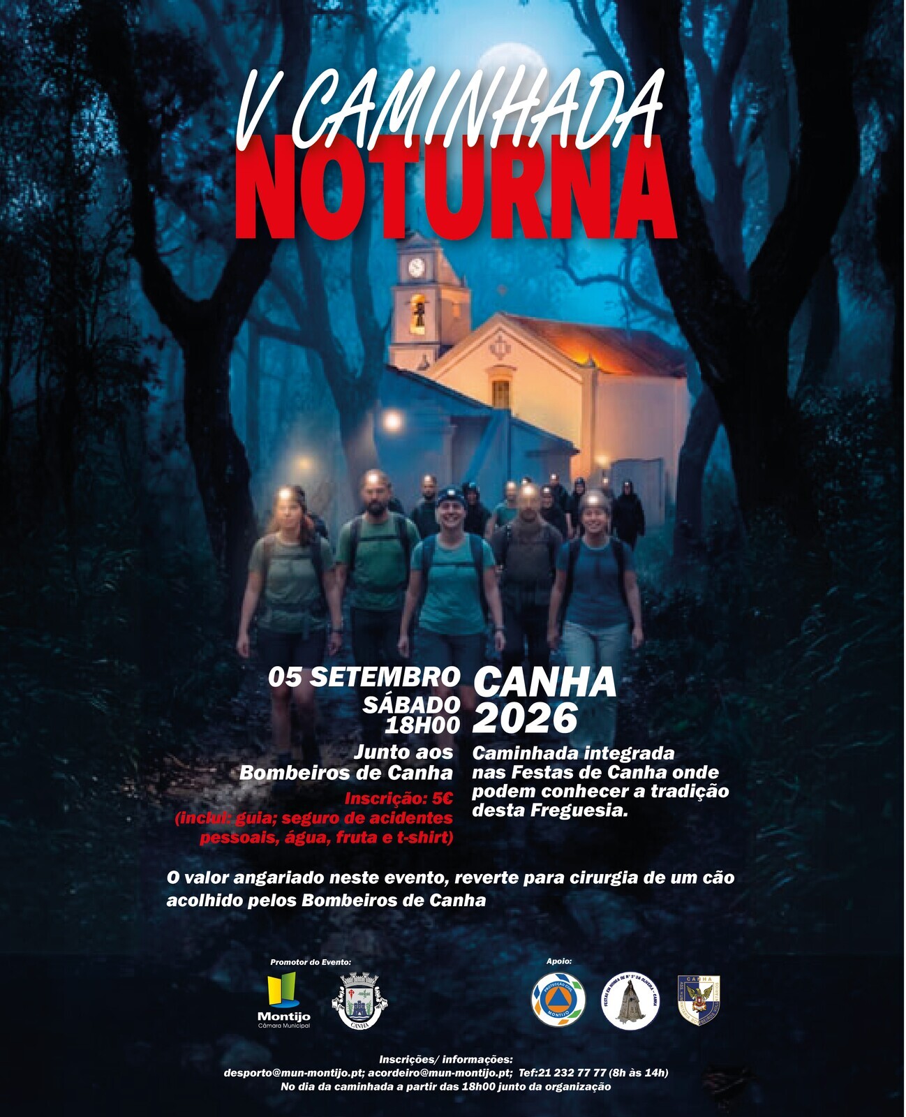 800X649 caminhada
