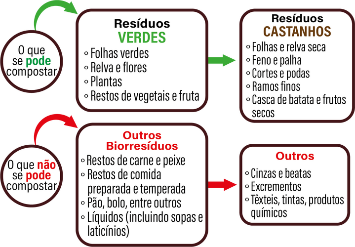 Organograma