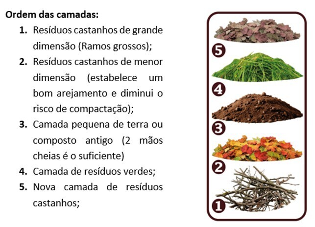 Imagem1