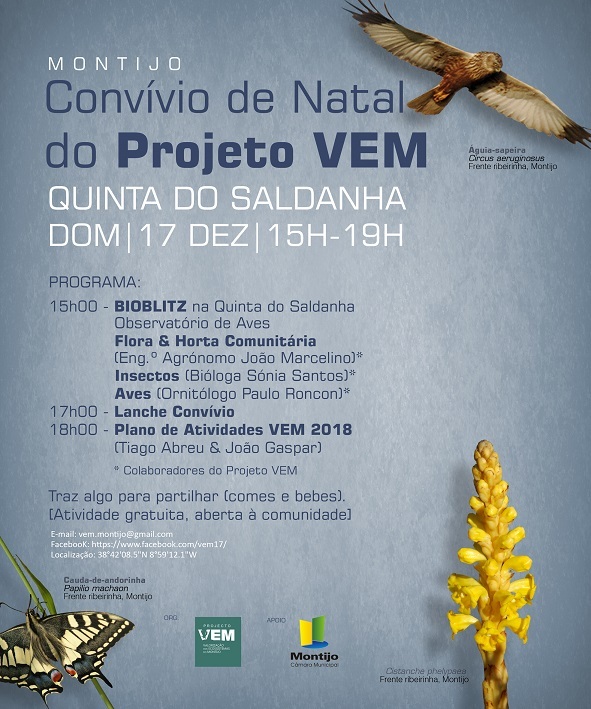 VEM_Conv&iacute;vio Natal_Bioblitz