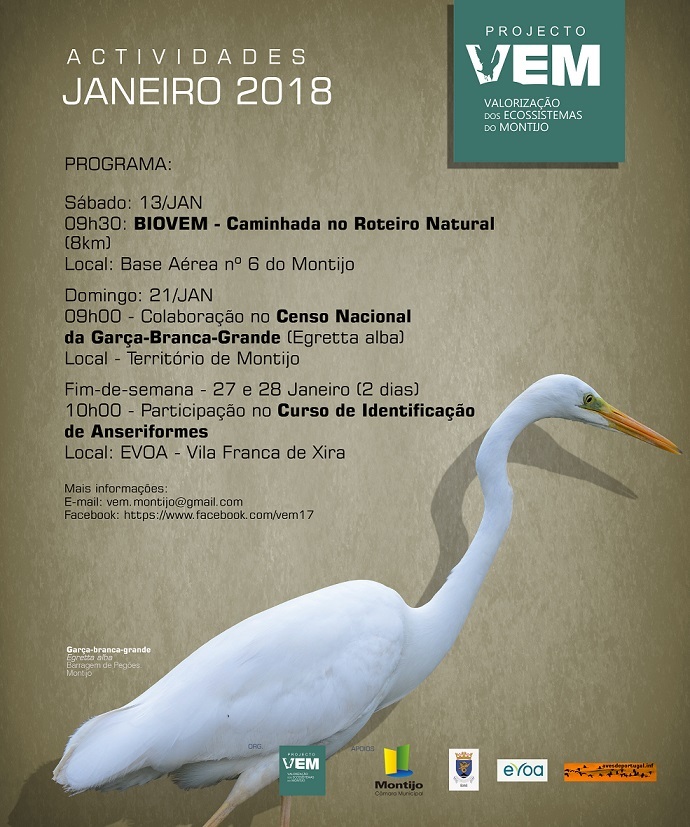 AGENDA JAN 2018_Final_ Projecto VEM