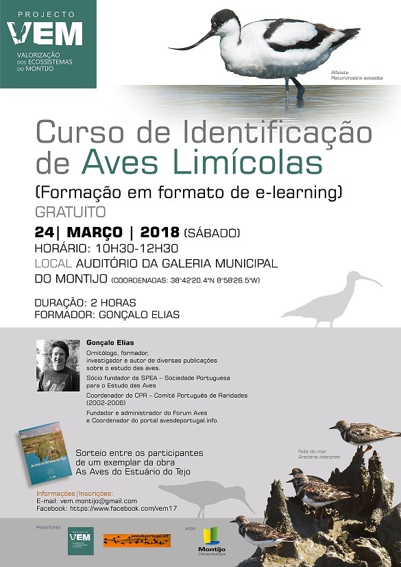 Curso Online_Cartaz_final