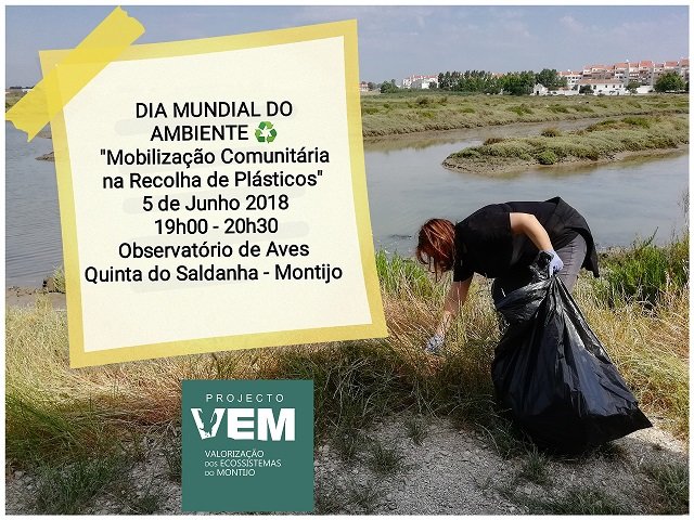 inCollage_20180601_230649323