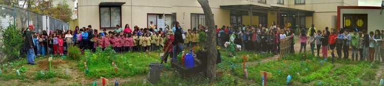 semana_verde_1_750_2500