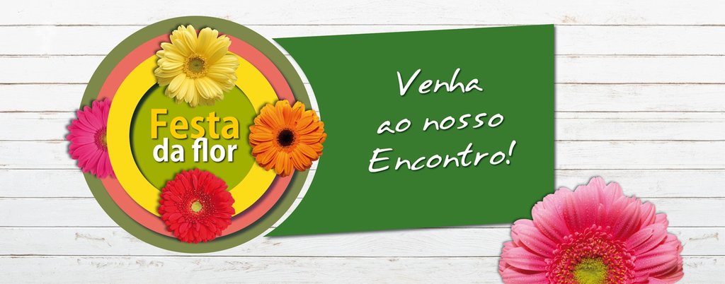festa da flor 2019
