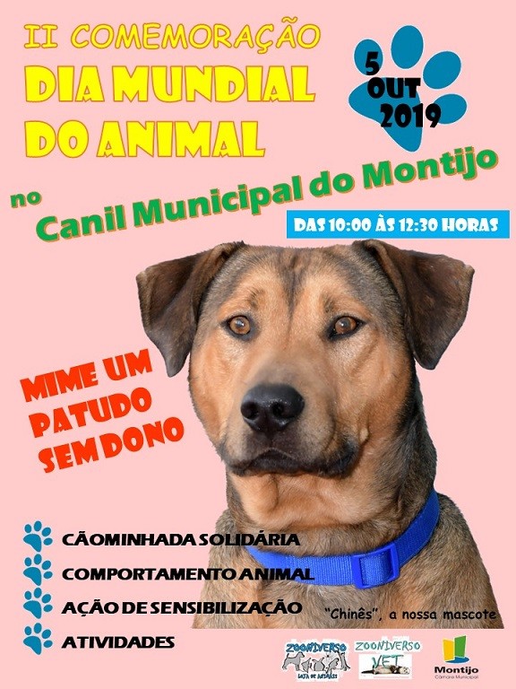 Divulga&ccedil;&atilde;o dia animal