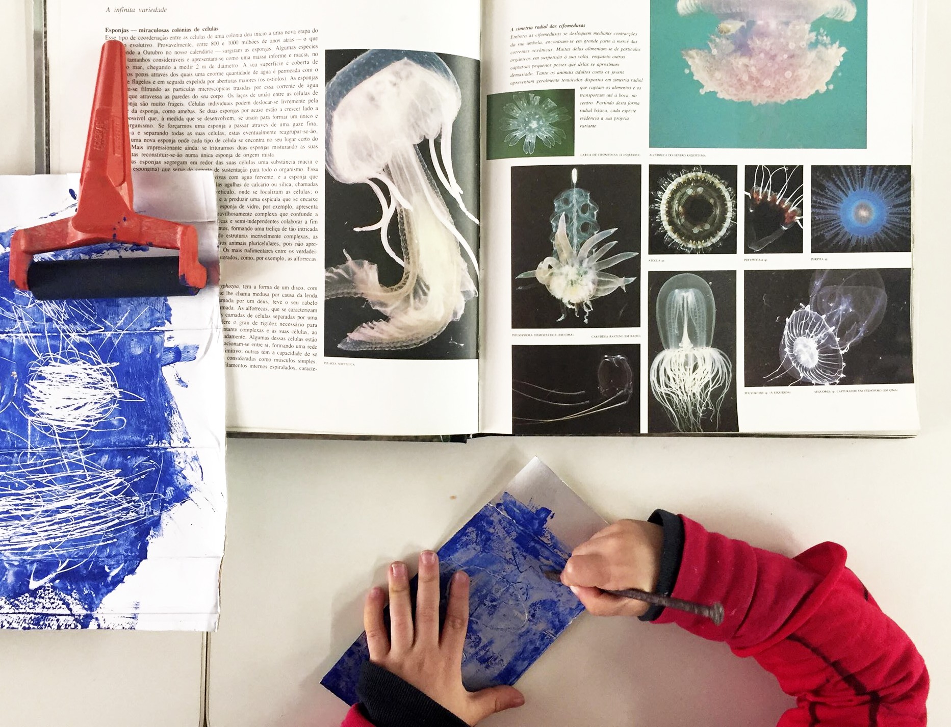 era_uma_vez_esponja__&copy; Margarida Botelho