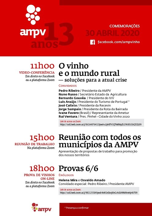 cartaz 13 anos AMPV (1)